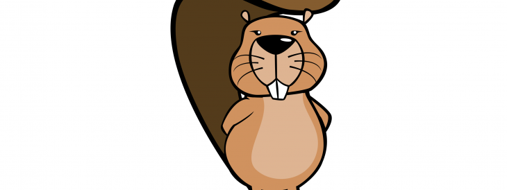 Quelle: Bundesweite Informatikwettbewerbe